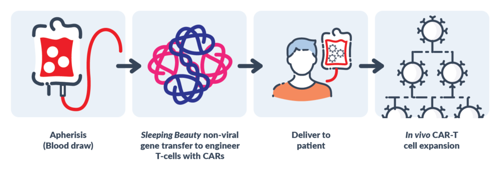 CAR-T Process